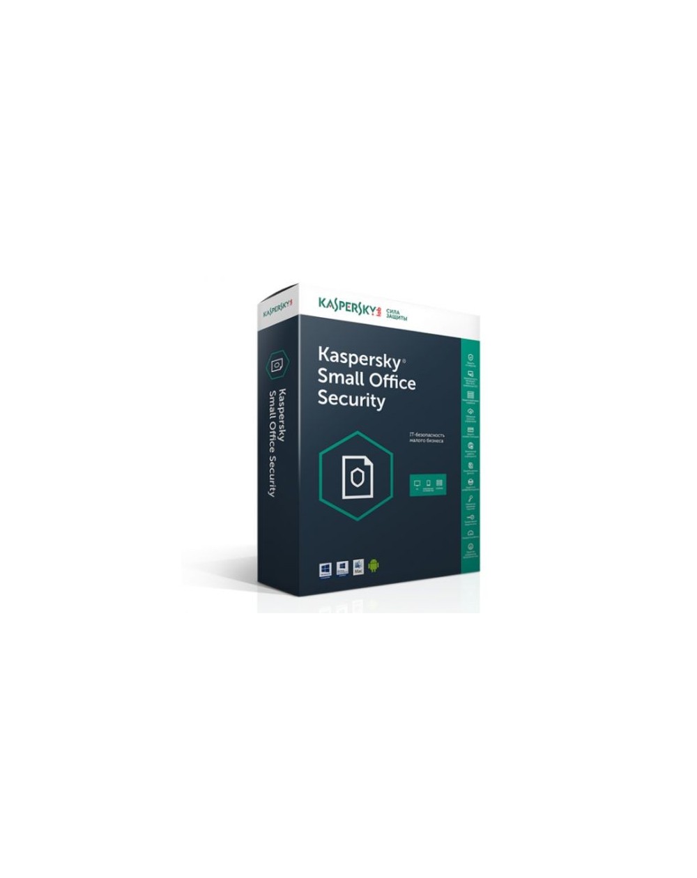 KASPERSKY SMALL OFFICE SECURITY 7- 10 POSTES + 1 SERVEUR (KL45418BKFS-20MWC)