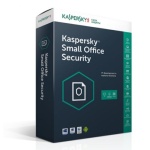 KASPERSKY SMALL OFFICE SECURITY 7- 10 POSTES + 1 SERVEUR (KL45418BKFS-20MWC)