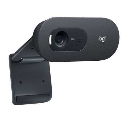 WEBCAM LOGITECH C505E HD D'AFFAIRES