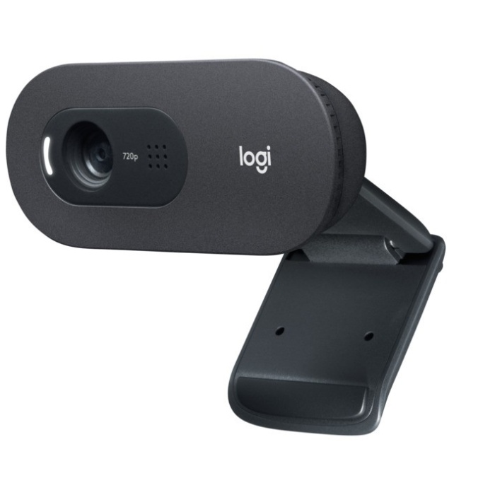 WEBCAM LOGITECH C505E HD D'AFFAIRES