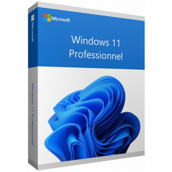 Microsoft Windows 11 Professionnel 64 bits Français (Licence originale + DVD) (FQC-10532)