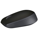 Souris sans fil Logitech M171 noire (910-004424)