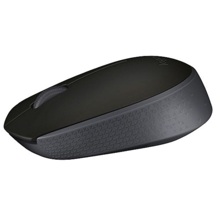 Souris sans fil Logitech M171 noire (910-004424)