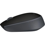 Souris sans fil Logitech M171 noire (910-004424)