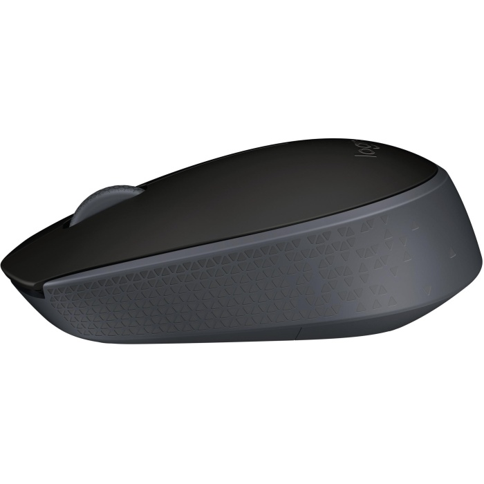 Souris sans fil Logitech M171 noire (910-004424)