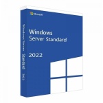 MICROSOFT WINDOWS SSERVER STANDARD 2022 (P73-08329)