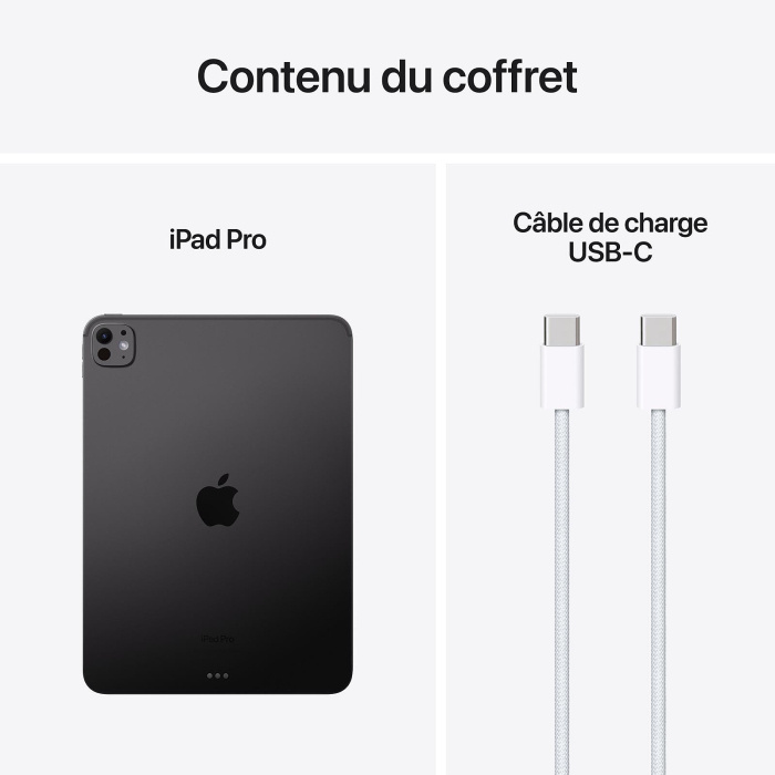 iPad Pro 11″ Wi‑Fi + Cellular – 256 Go, Noir sidéral (MVW13QA/A) – Image 2
