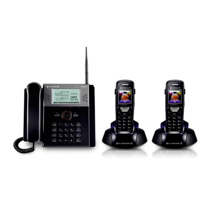 Standard telephonique LG-Ericsson W-SOHO  Sans-fil – Image 1